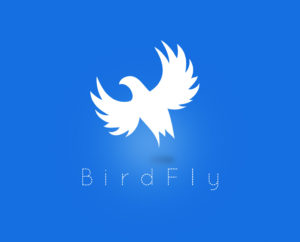Bird fly Free logo template